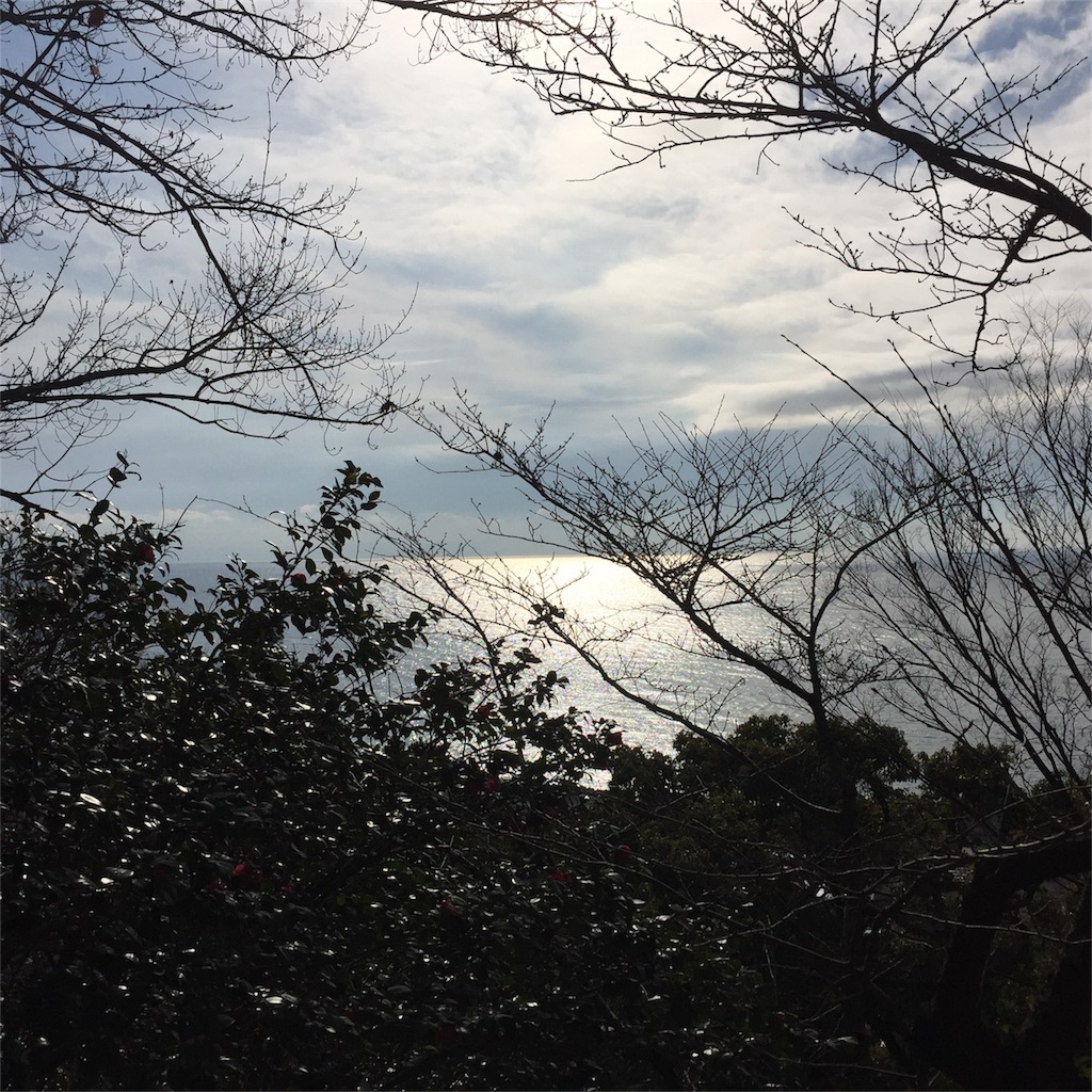 f:id:zoochan:20180206190602j:image