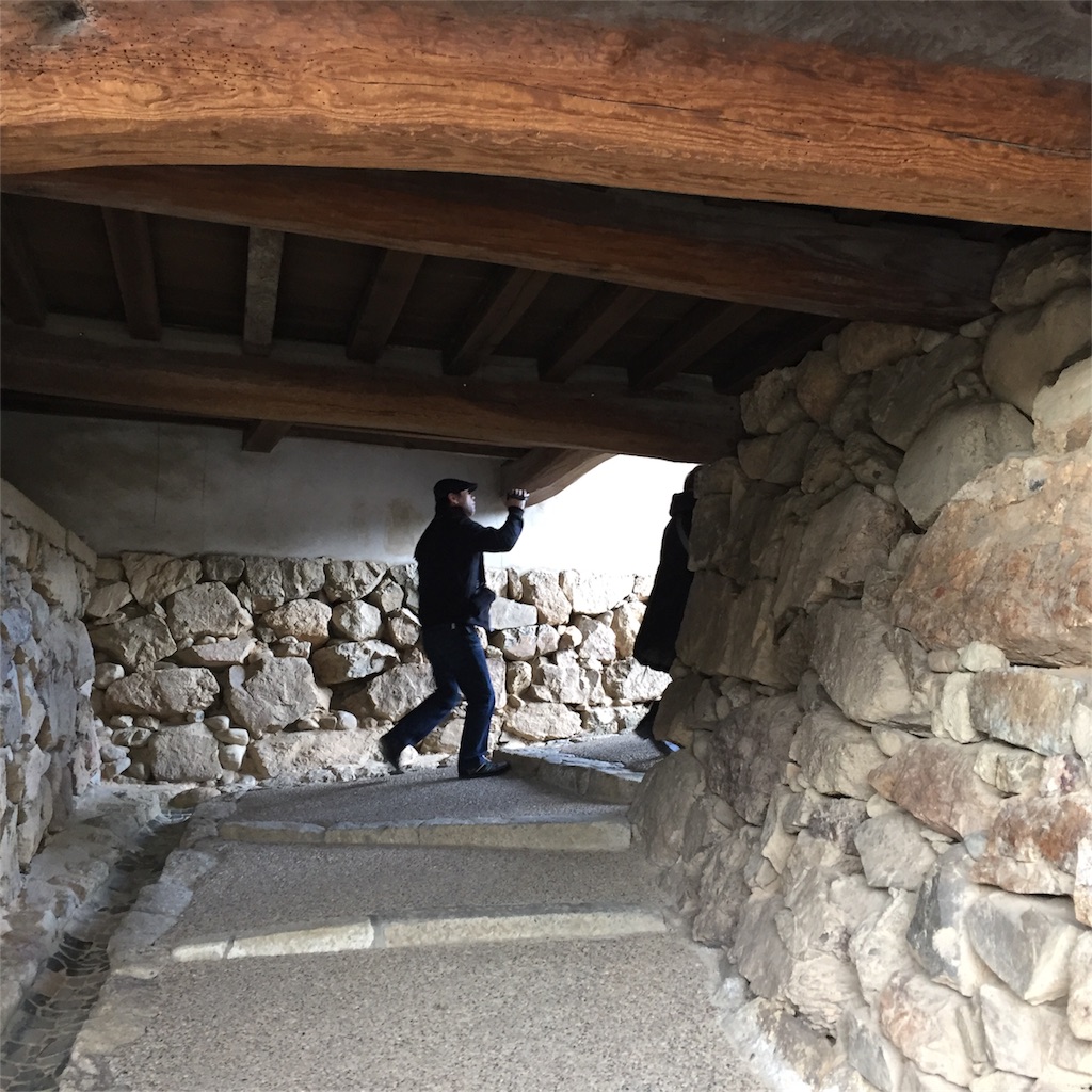 f:id:zoochan:20180228193609j:image
