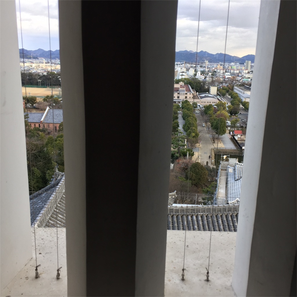 f:id:zoochan:20180301184452j:image