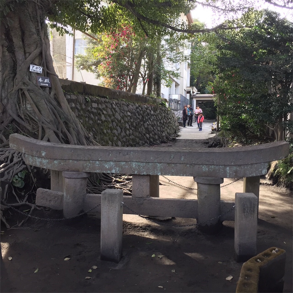 f:id:zoochan:20180311231808j:image