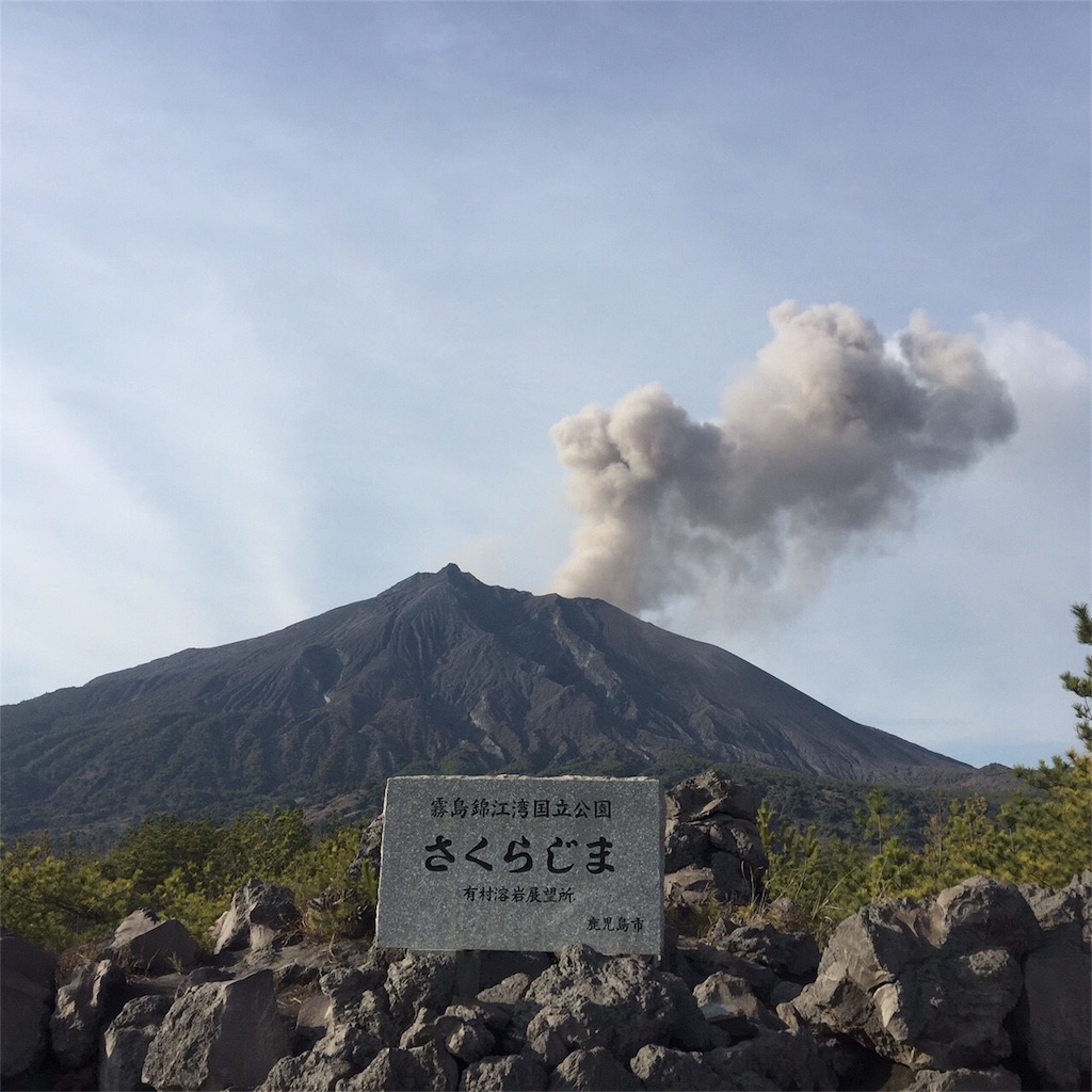 f:id:zoochan:20180311231901j:image