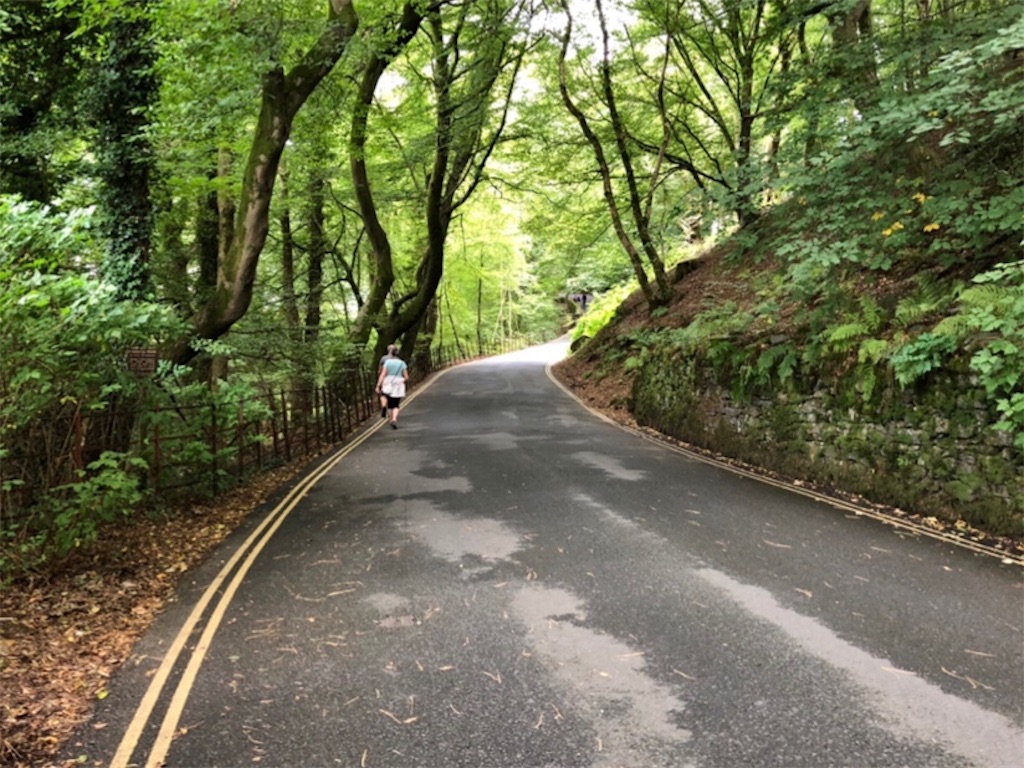 f:id:zoochan:20181004232358j:image