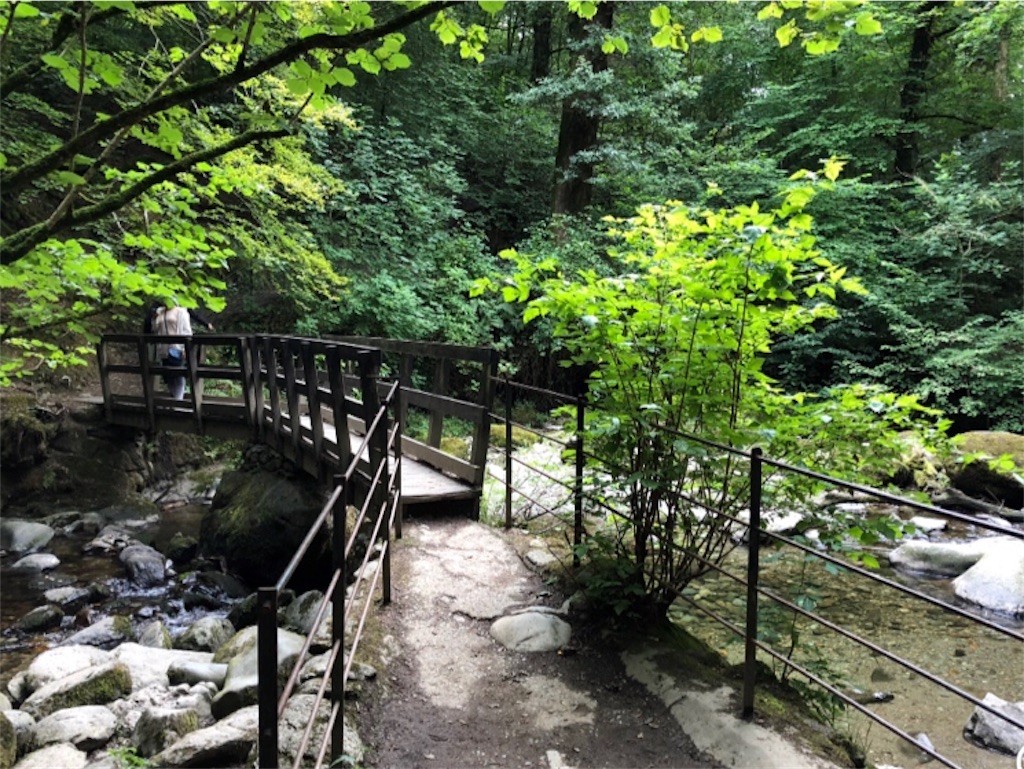 f:id:zoochan:20181005081713j:image