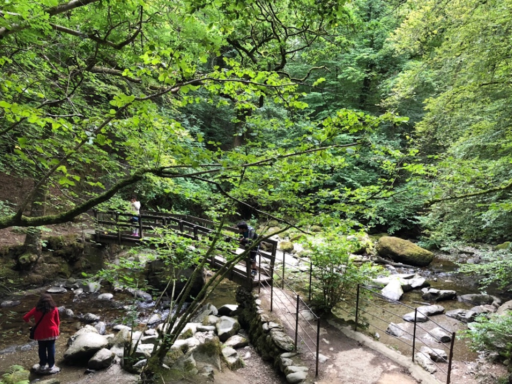 f:id:zoochan:20181005232133j:image