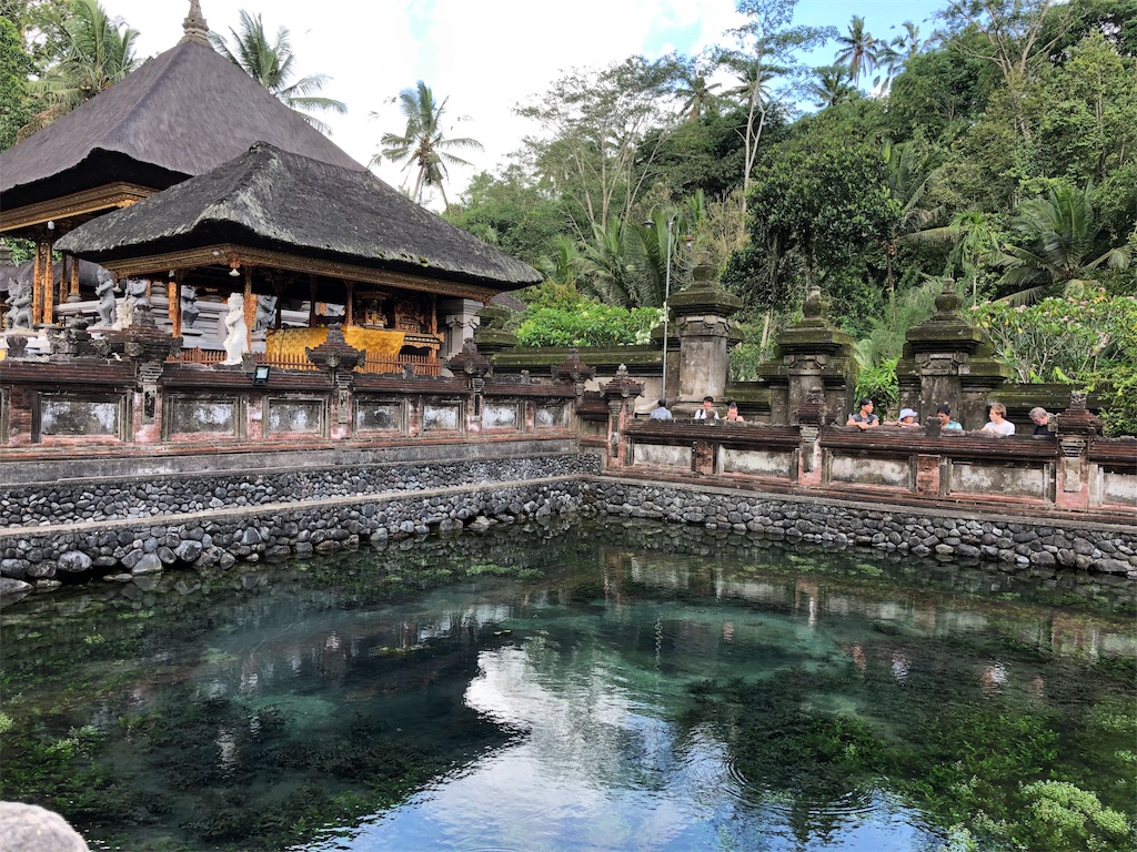 f:id:zoochan:20190115220947j:plain