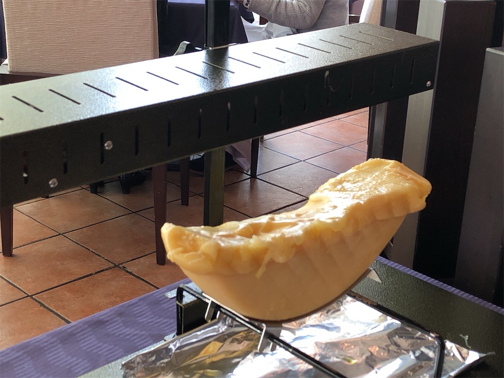 f:id:zoochan:20190201081734j:image