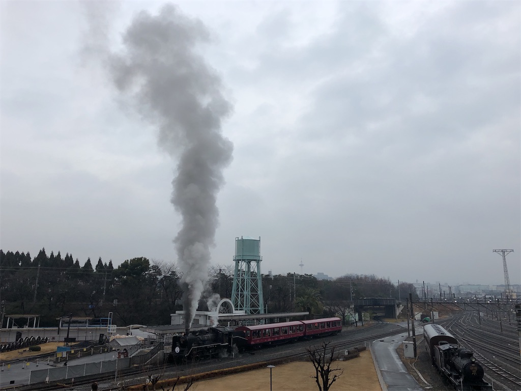 f:id:zoochan:20190206191847j:image